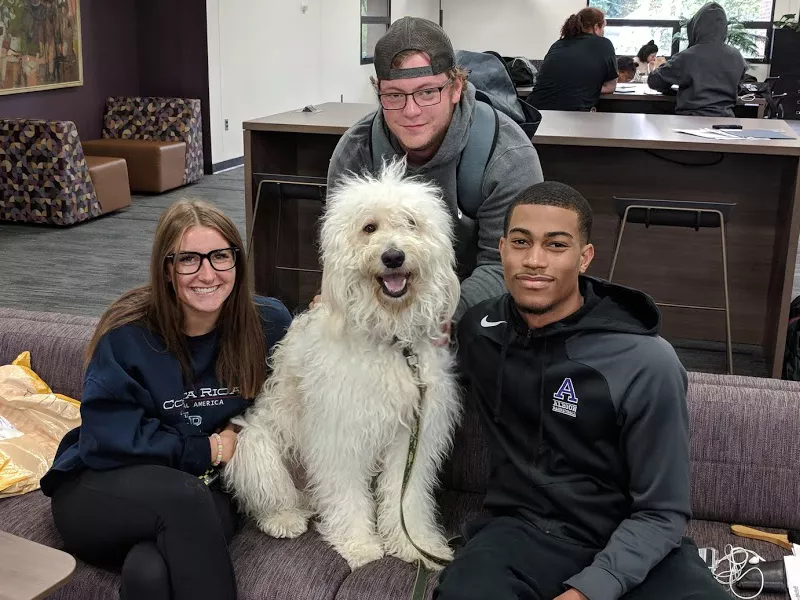 Kai the Therapy Dog hangs with some students at the Library